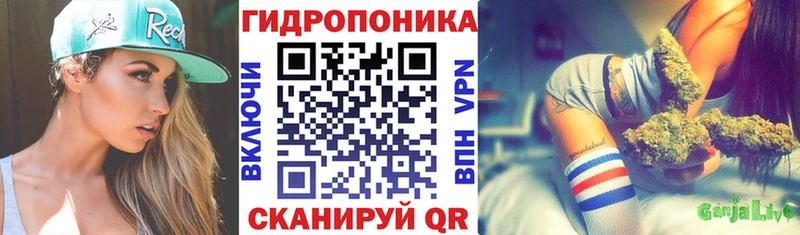 Цена Никольск Галлюциногенные грибы МЕТАДОН А ПВП Меф мяу мяу Гашиш Бошки Шишки