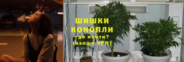 ГАЛЛЮЦИНОГЕННЫЕ ГРИБЫ Беломорск