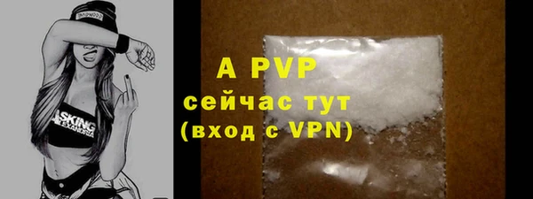 ГАЛЛЮЦИНОГЕННЫЕ ГРИБЫ Беломорск