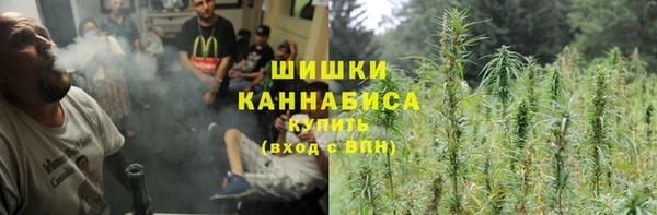 ГАЛЛЮЦИНОГЕННЫЕ ГРИБЫ Беломорск