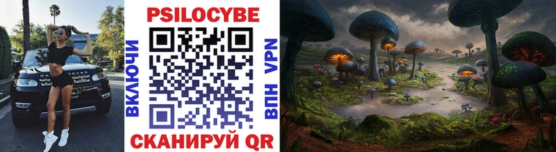 Галлюциногенные грибы Magic Shrooms  Никольск 