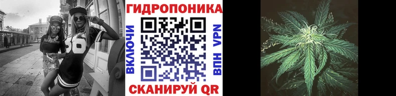 МАРИХУАНА гибрид  Никольск 